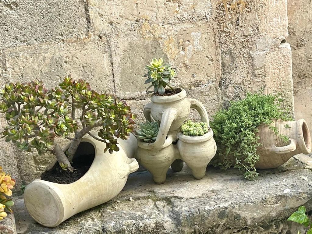 Lemon Suite Ortigia سيراكوزا المظهر الخارجي الصورة