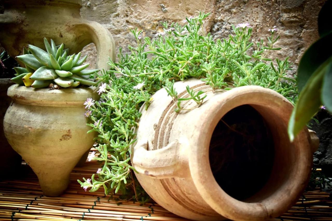 Lemon Suite Ortigia سيراكوزا المظهر الخارجي الصورة